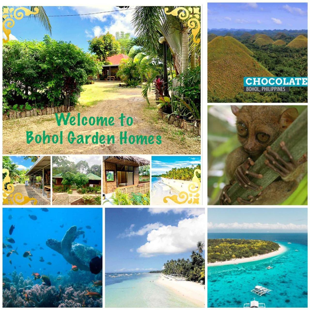 House @Bohol Garden Homes Panglao Eksteriør billede