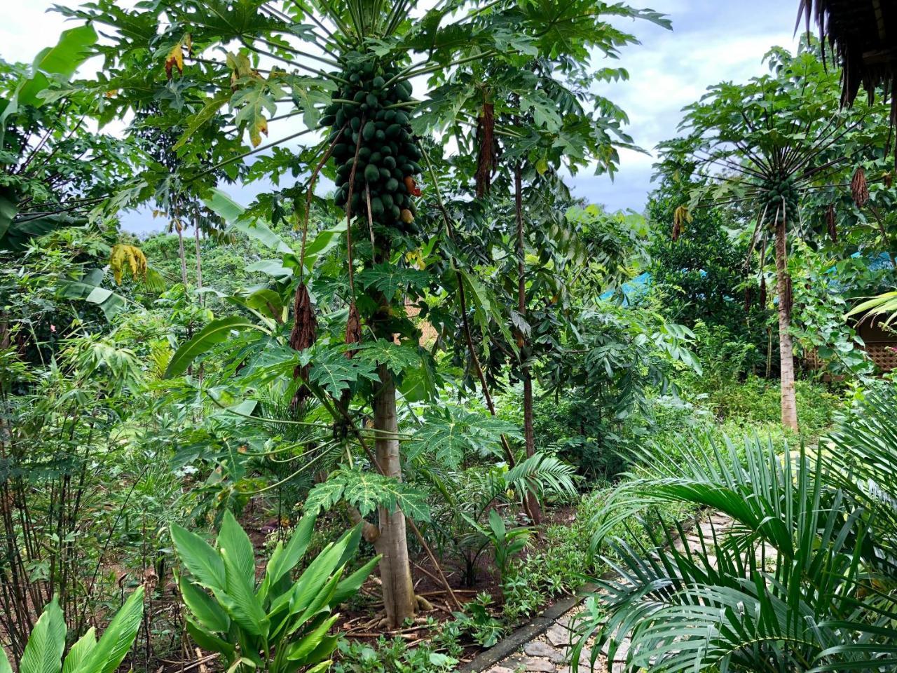 House @Bohol Garden Homes Panglao Eksteriør billede